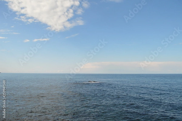 Obraz sea and sky