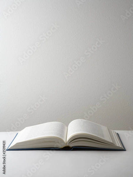 Obraz open book