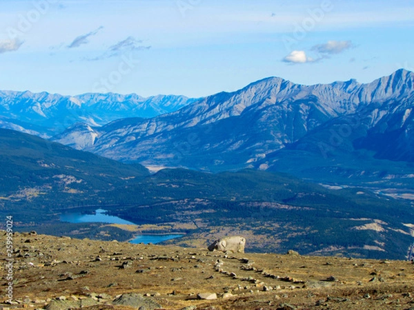 Obraz View of rocky mountains from the jasper tramway station from mountain whistler, jasper national park, alberta