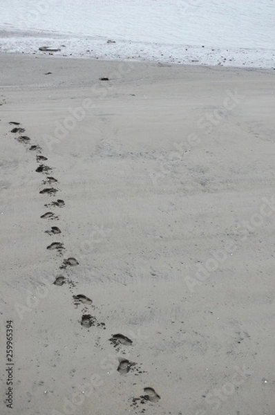 Fototapeta Beach Path