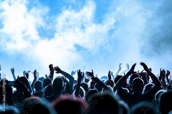Obraz audience at rock concert