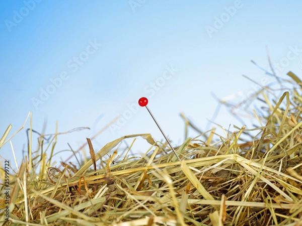 Obraz Nadel im Heuhaufen