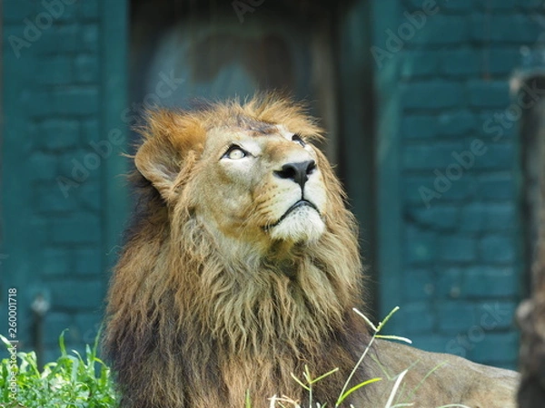 Fototapeta OLYMPUS DIGITAL CAMERA