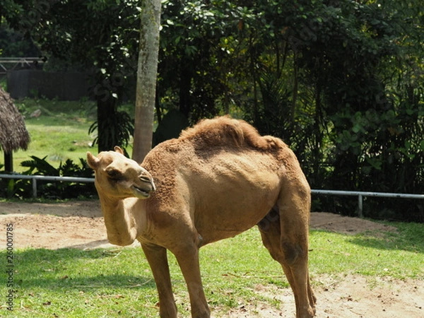 Fototapeta OLYMPUS DIGITAL CAMERA