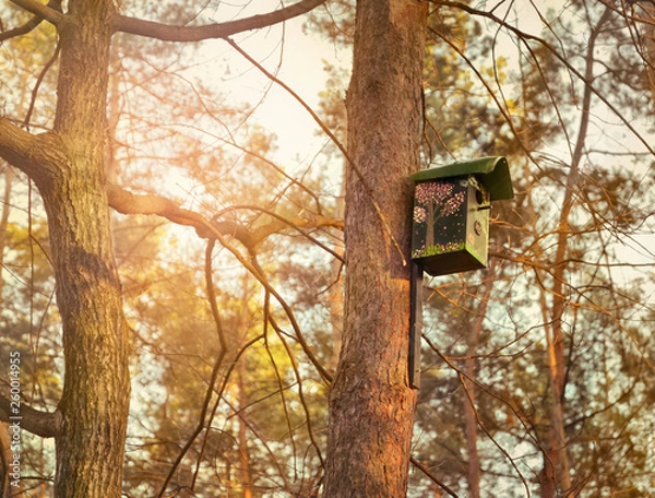 Obraz Bird nest box handmade of waste materials and placed on a pine in the city square.