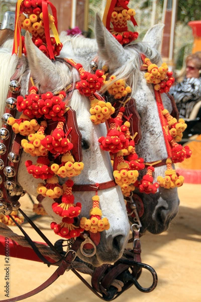 Obraz Tiro de caballos