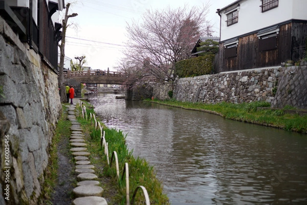 Fototapeta 滋賀県近江八幡市の八幡堀の風景
