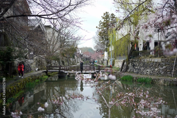 Fototapeta 滋賀県近江八幡市の八幡堀の風景
