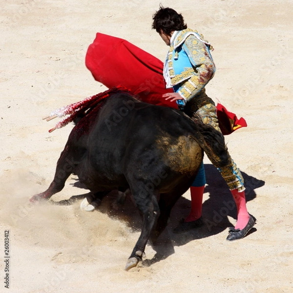 Fototapeta corrida