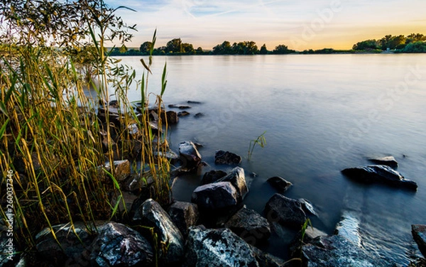 Obraz Morgenstunde am Rhein