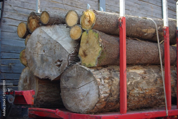 Fototapeta Baumstämme auf einem Laster
