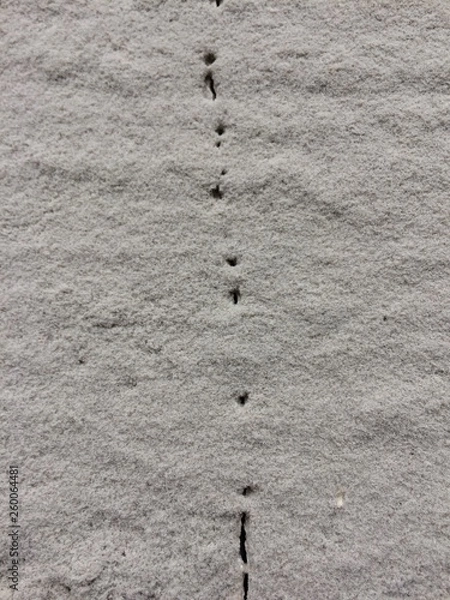 Obraz paper dust texture