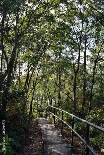 Fototapeta Paved path, from hiking trails on Lamma Island, Hong Kong