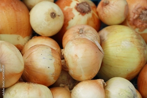 Fototapeta Fresh onion for cooking at street food