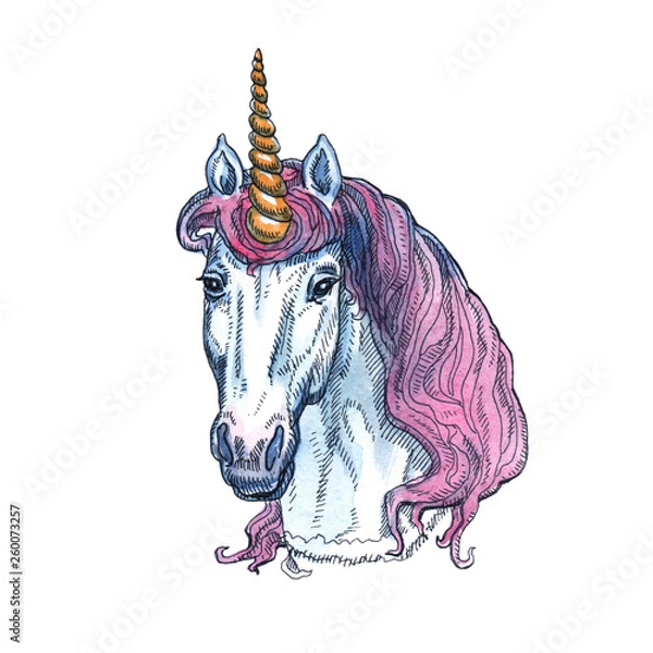 Obraz Unicorn isolated on white background. Fairy-tale character.