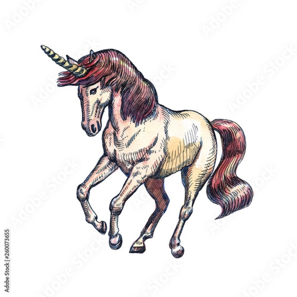 Obraz Unicorn isolated on white background. Fairy-tale character.