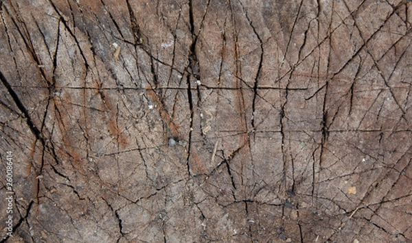 Obraz Wooden natural brown background with scars and patterns. Wooden slats. Burned Tree