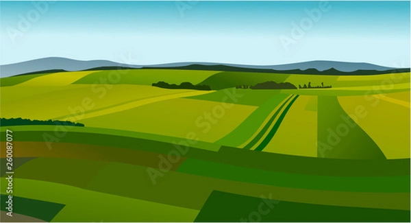 Obraz Rural landscape with green fields