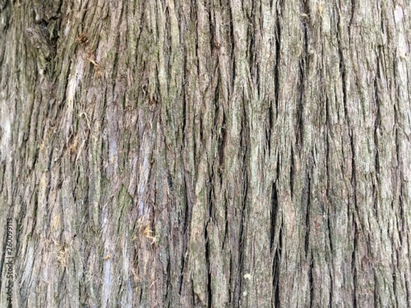 Obraz embossed wood texture