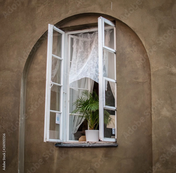 Obraz Window