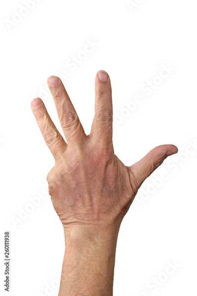 Fototapeta Old man hand isolated on white.  Aged man counting hand.  Part of set.