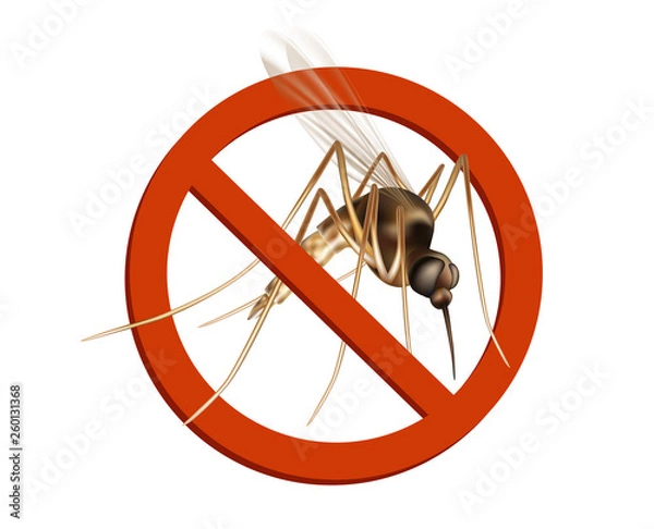 Fototapeta Insect mosquito, gnat and pest illustration for repellent oil, spray and patches ads, poster. Flying mosquitoes flock in air isolated promo. Viruses and diseases spreading medical vector concept. 