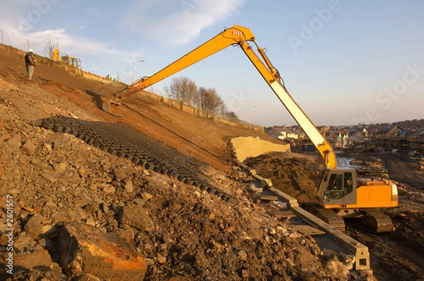 Obraz long reach excavator