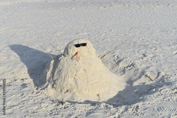 Obraz southern snowman