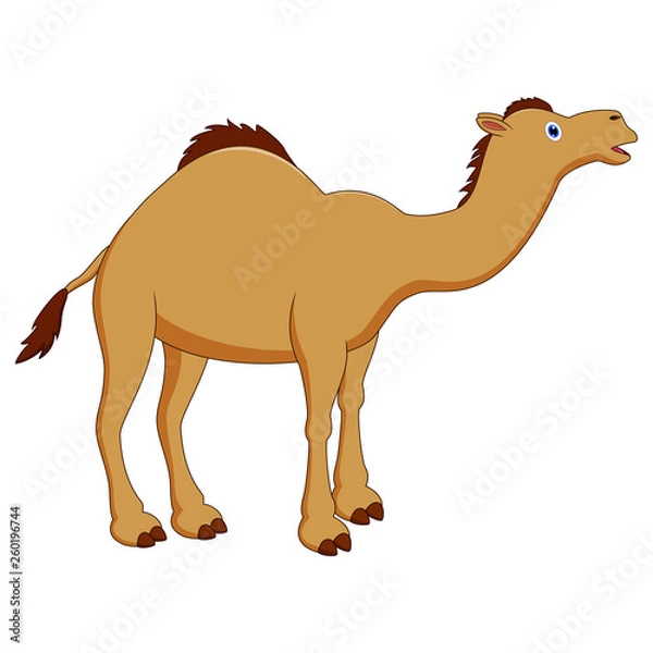 Fototapeta Cute camel cartoon