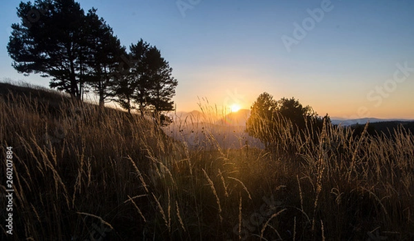 Obraz sunset over field