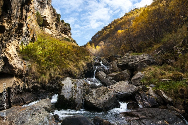 Obraz river in mountains