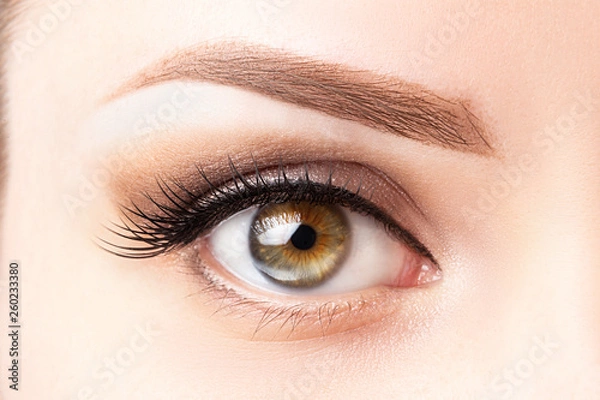 Obraz Female eye with long eyelashes, beautiful makeup and light brown eyebrow close-up. Eyelash extensions, lamination, microblading, cosmetology, ophthalmology concept