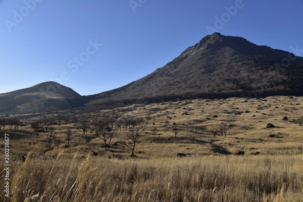 Fototapeta 由布岳　yuhudake