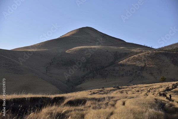 Fototapeta 由布岳　yuhudake