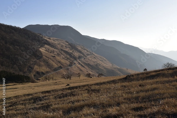 Fototapeta 由布岳　yuhudake