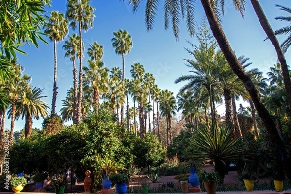 Fototapeta モロッコ/マラケシュのマジョレル庭園