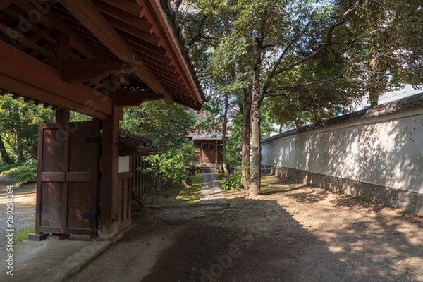 Fototapeta 春の小石川後楽園