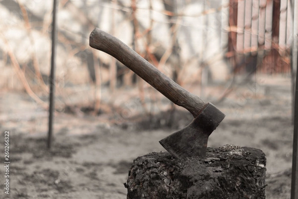 Fototapeta Ax in hemp. Ax sticks out of stump