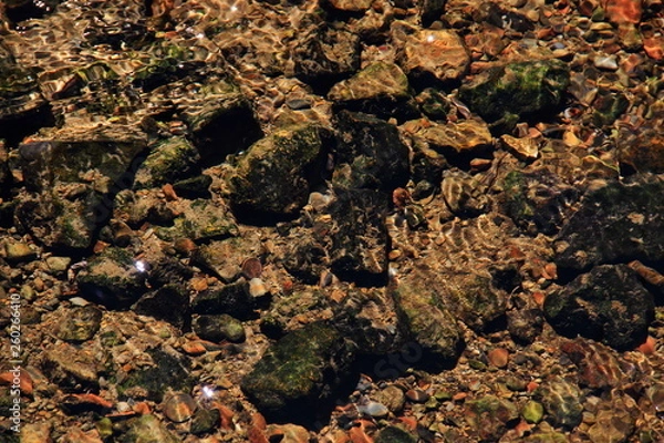 Obraz rocks and moss under water