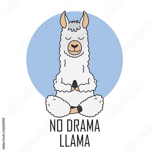 Fototapeta Cute llama doing yoga. Vector isolated