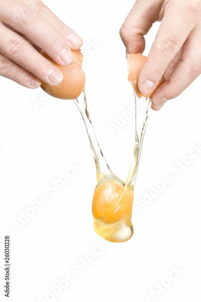 Obraz droping egg