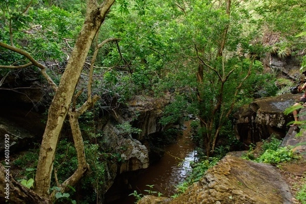 Fototapeta landscape with stones, water and trees of a tourist place in the Brazilian northeast
