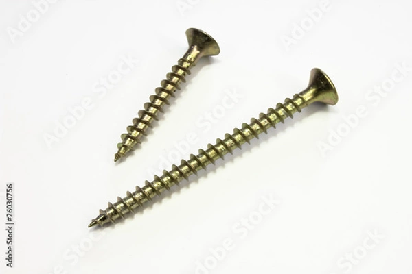 Obraz Zwei Holzschrauben