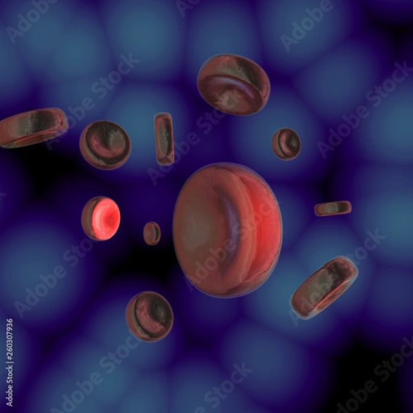 Fototapeta blood cell blue background
