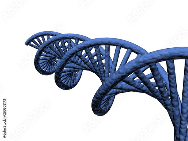 Fototapeta Dna on white background