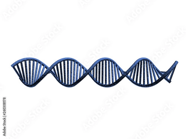 Obraz Dna on white background