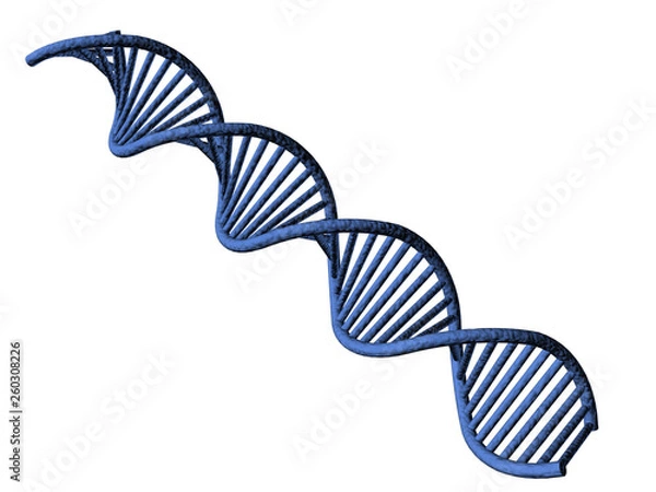 Obraz Dna on white background