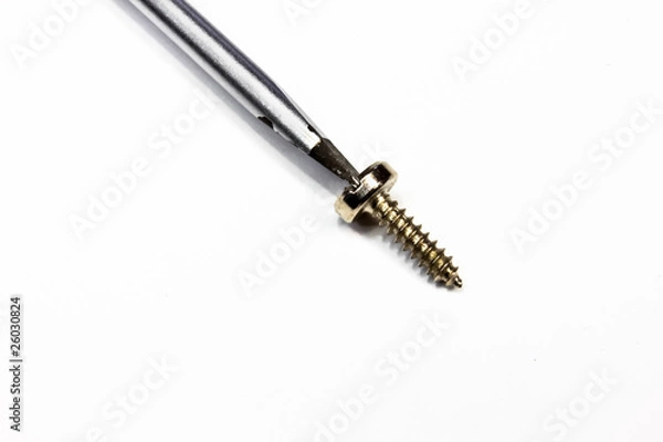 Obraz Schraubenzieher