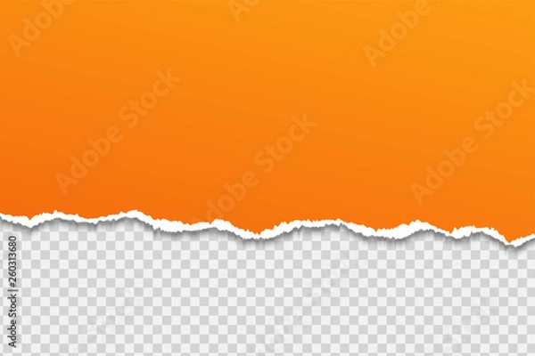Fototapeta Tear paper or edge On a transparent background.