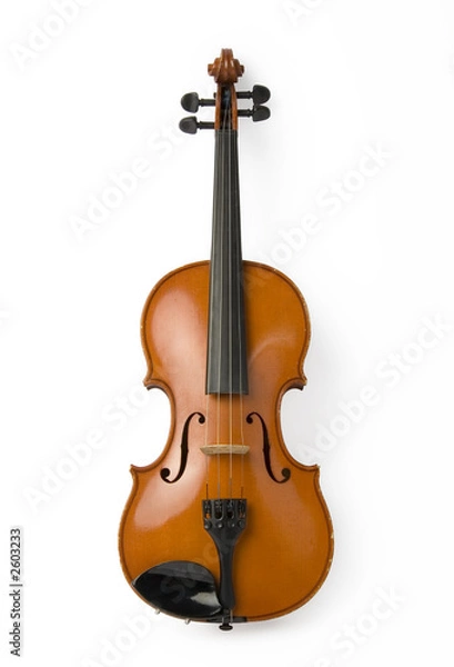 Fototapeta violin on white